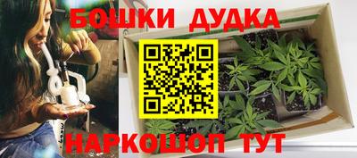 стаф Камышлов