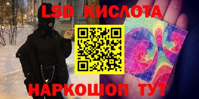 стаф Камышлов
