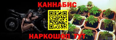 a pvp Канаш