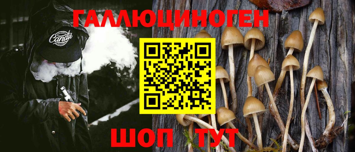 Псилоцибиновые грибы мухоморы  Псилоцибиновые грибы GOLDEN TEACHER  Кызыл  Вход с VPN 